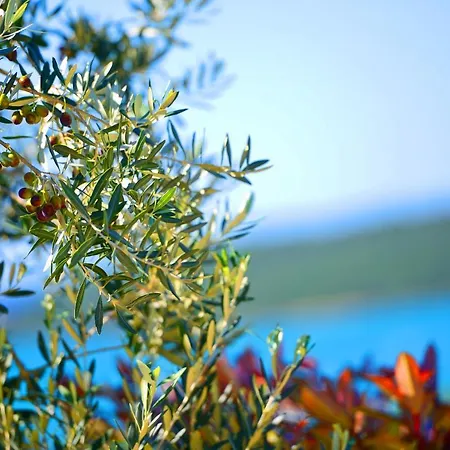 Mare2 With Pool, Sea View And Hydromassage Vila *