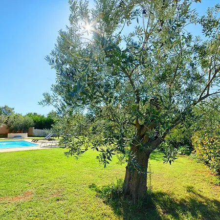 Vila Mare2 With Pool, Sea View And Hydromassage