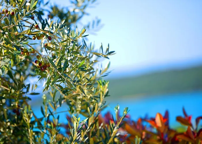 Mare2 With Pool, Sea View And Hydromassage Villa *